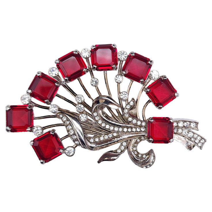 luxurious brooch