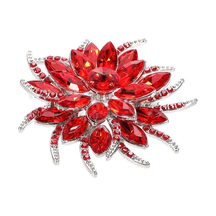 ruby brooch