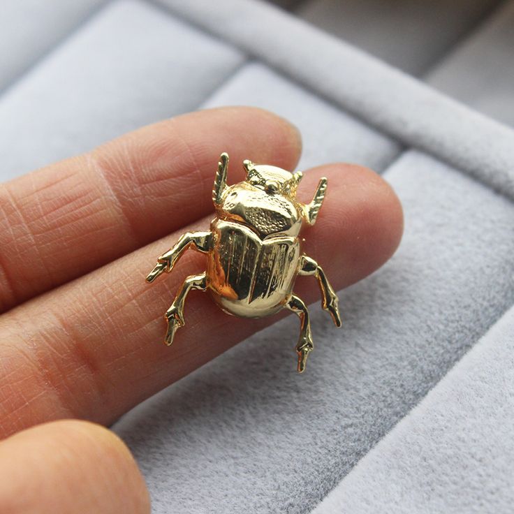 beetle jewelry